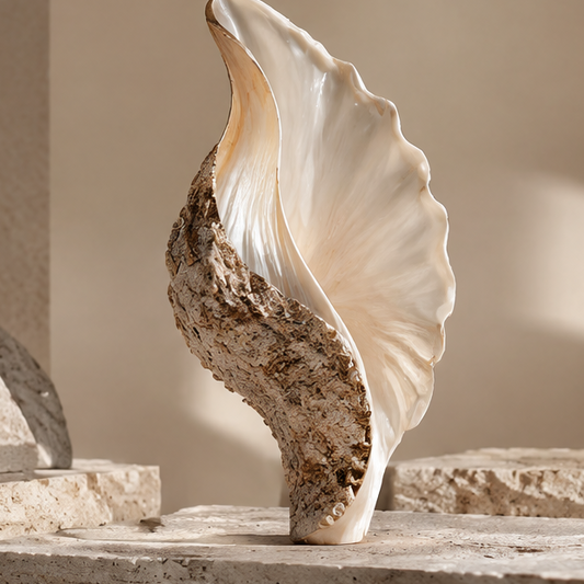 Upright shell decor with an ivory-toned interior and textured brown exterior