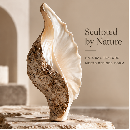 Shell decor styled on a console with books and neutral accessories